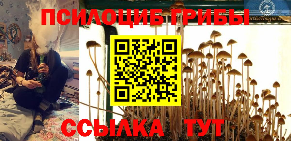 Среднеуральск  Псилоцибиновые грибы GOLDEN TEACHER  магазин    Вход с VPN 
