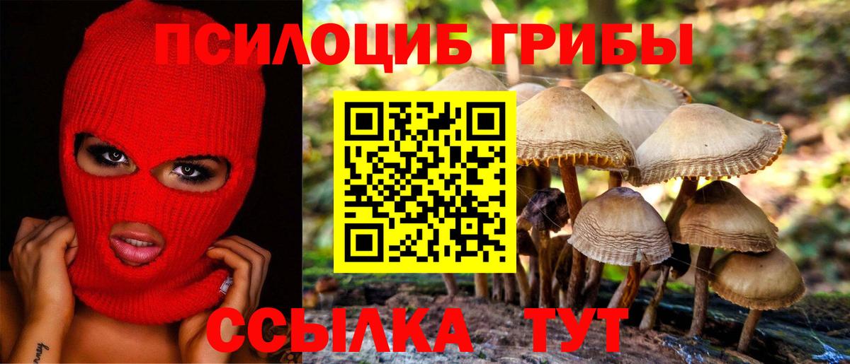 Галлюциногенные грибы Cubensis Среднеуральск